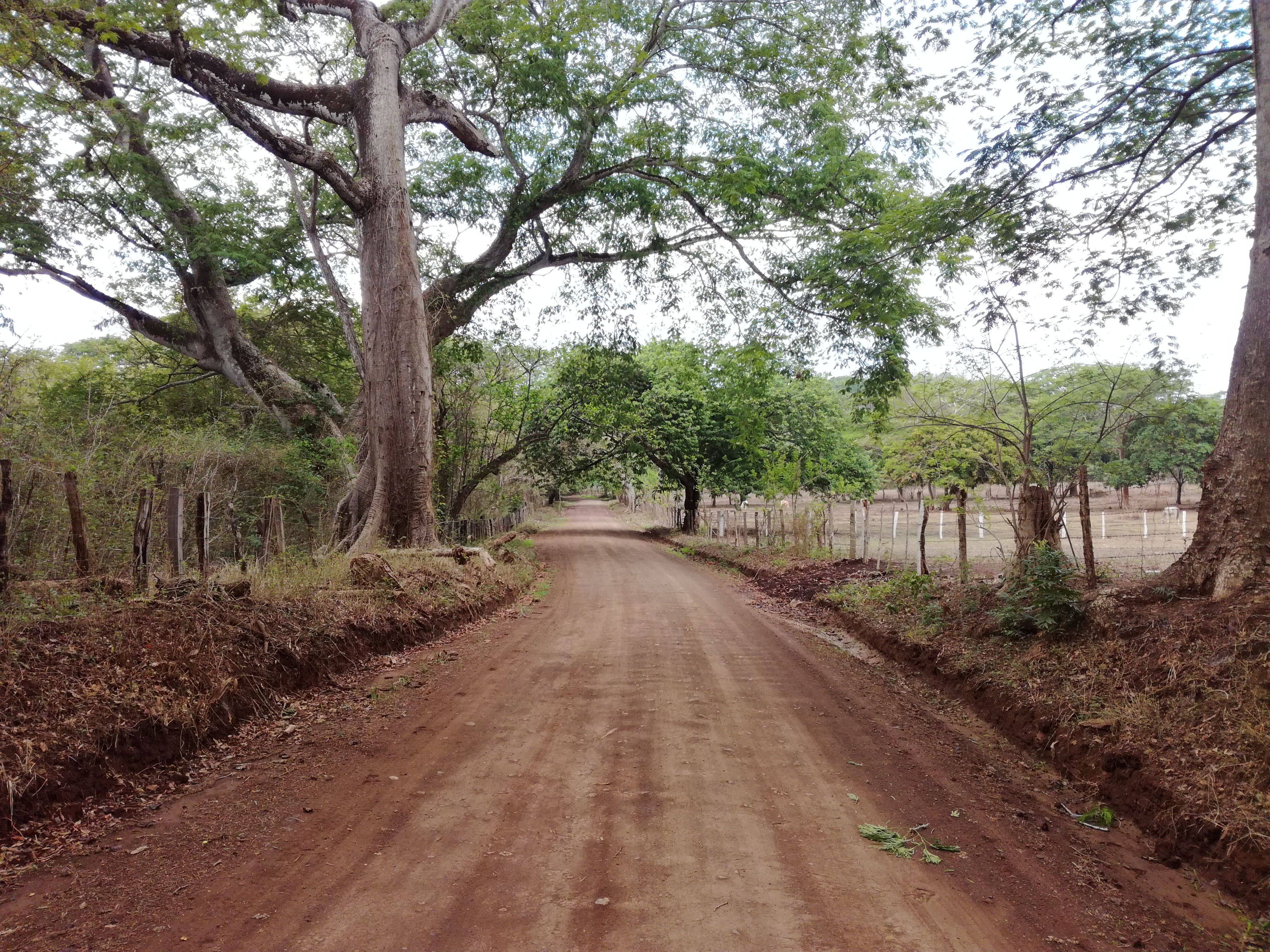 costa rica, tamarindo, piste